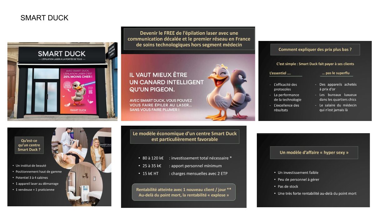 Smart Duck concept